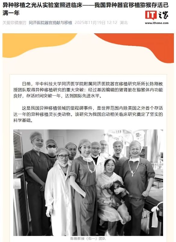 实验室到病床“最后一公里”：我国异种器官移植猕猴存活时间突破一年，达到国际先进水平
